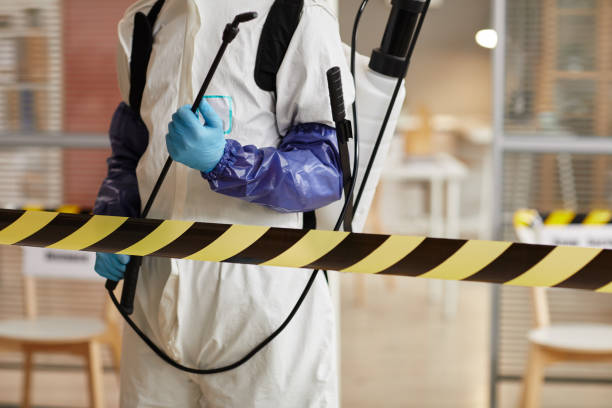 Professional Odor Removal technician working in Highland, IL