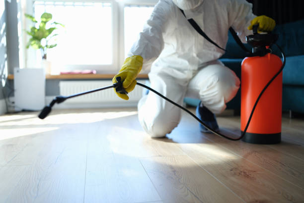 Reliable Odor Removal contractor in Highland, IL by Trauma Clean Pros